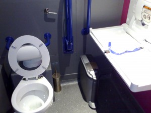 Colour photograph showing what is supposed to be an 'Accessible' Toilet Facility, with a combined Baby Change Facility.  Inadequate management magnifies the already poor accessibility performance of the cramped space.  Click to enlarge.  Photograph taken by CJ Walsh.  2009-09-19.