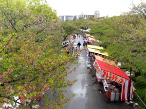Colour photograph showing the 2010 Cherry Blossom Viewing & Festival Market at the Osaka Mint Bureau (Zoheikyoku) in Japan. Photograph by CJ Walsh. 2010-04-20. Click to enlarge.