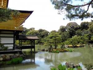 Kinkaku-ji Temple (The Golden Pavilion) In Context - Kyoto, Japan.